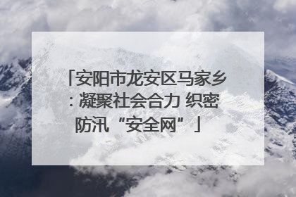 安阳市龙安区马家乡：凝聚社会合力 织密防汛“安全网”